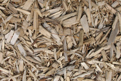 biomass boilers Fittleworth